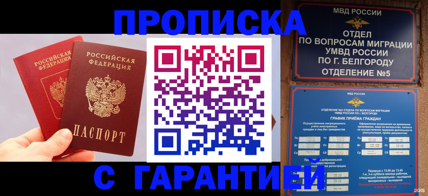 прописка 2025 в Покрове